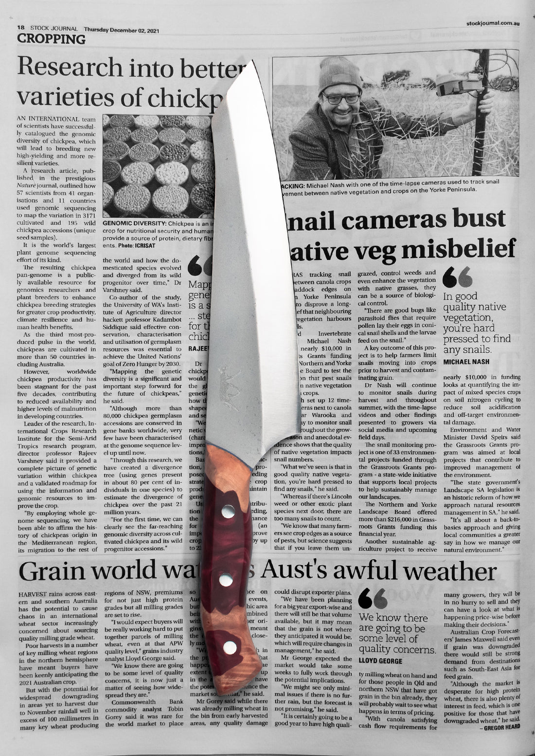 Australians Chefs Knife | The "Dingo" Knife - Big Red Knives